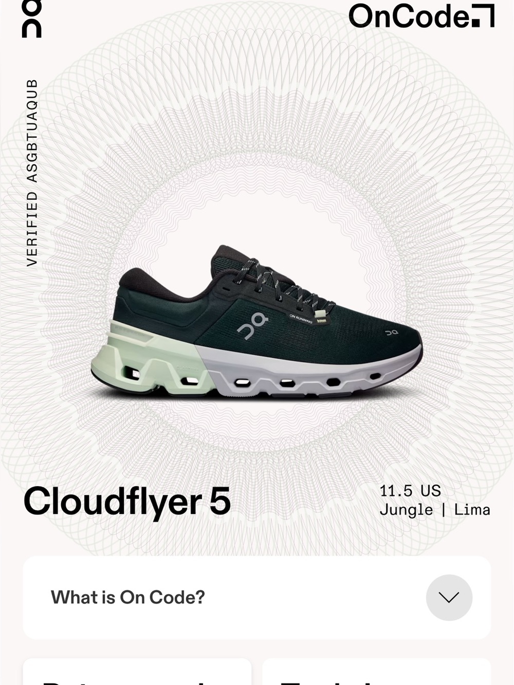 On Cloudflyer 5 Running shoe size 11.5 Unisex